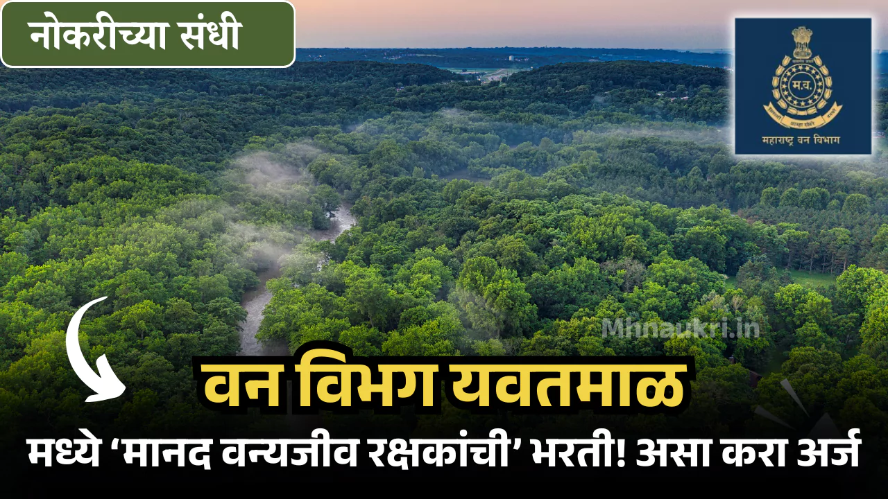 Van Vibhag Yavatmal Bharti 2025